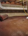 Lansing wet basement with rotting wood