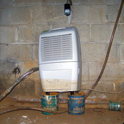 A dehumidifier in a Alpena wet crawl space
