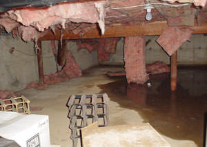 Fiberglass dripping off of the ceilings of a Elkhart crawl space