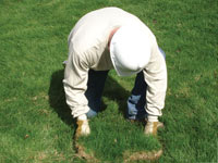 Restoring the landscaping by replacing removed lawn sections for a Muskegon home.